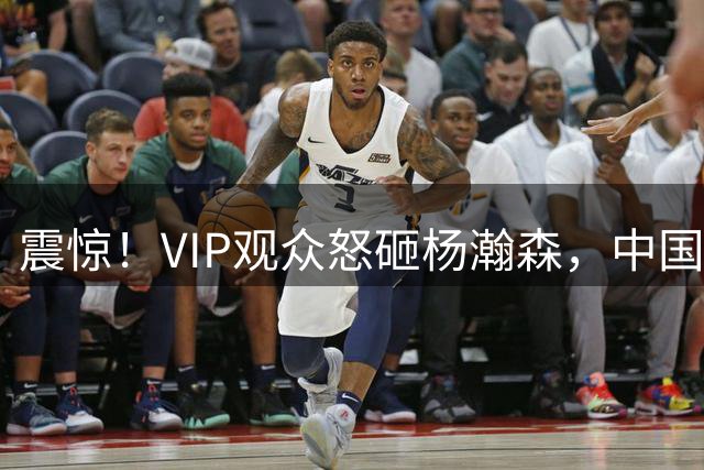 震惊！VIP观众怒砸杨瀚森，中国男篮功臣险遭袭击